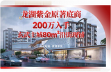 龙湖紫金原著.jpg